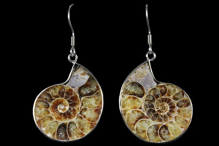 Fossil Ammonite Earrings #112233